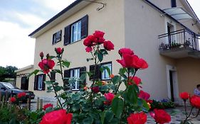 Apartments Rusin